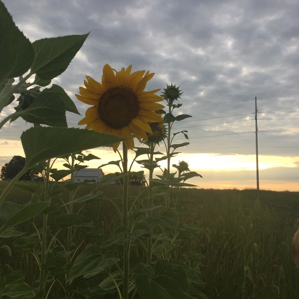 Meet your Posher, Courtney